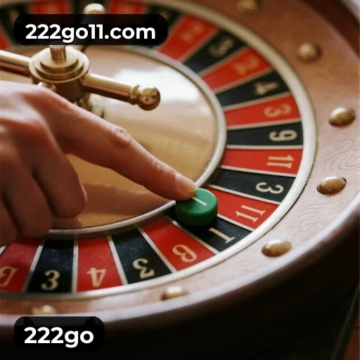222go Logo